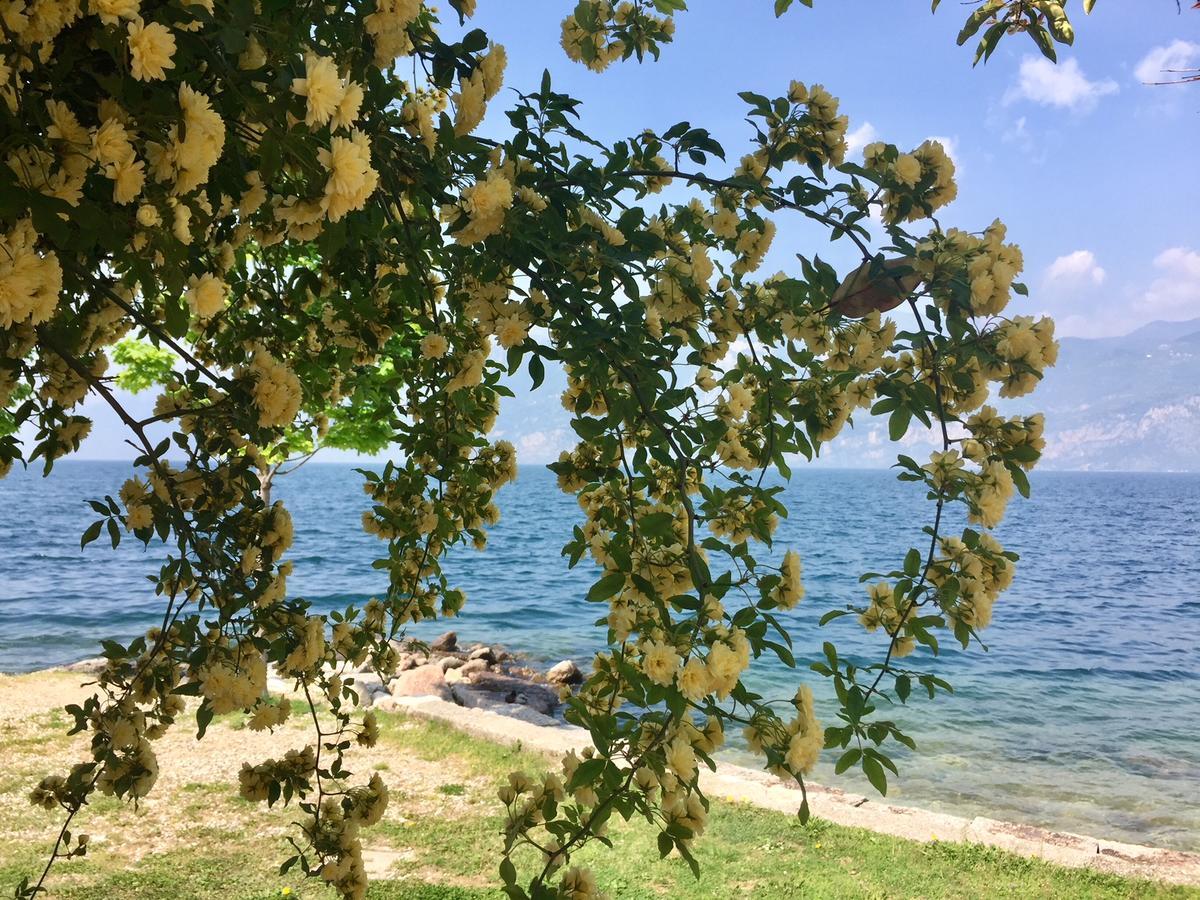 Piccolo Hotel Direkt Am See Бренцоне-суль-Гарда Экстерьер фото